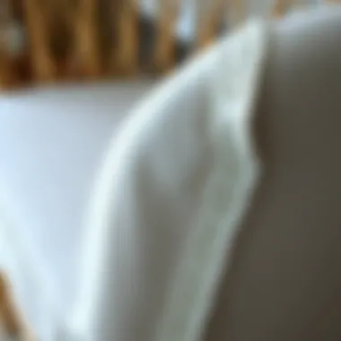 Close-up of a slip cover showcasing intricate design details