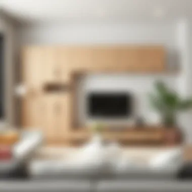 Contemporary Living Room with Wall Cabinets Stylish integration of unfinished wall cabinets in a contemporary living room decor