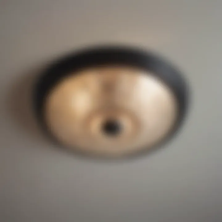 Stylish flush mount light showcasing contemporary design