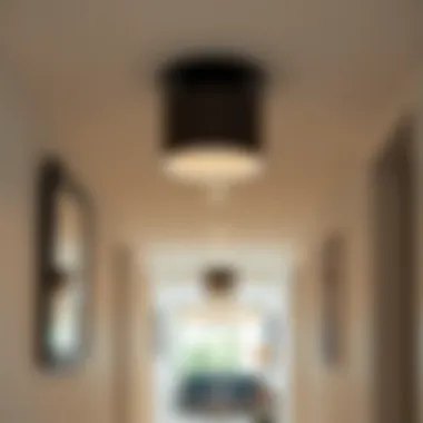 Installing Flush Mount Fixture in Stylish Hallway Installation of a flush mount fixture in a stylish hallway