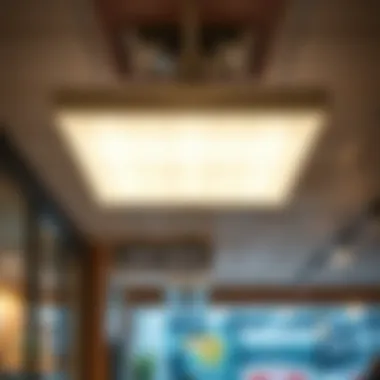 Drop ceiling light panel enhancing a commercial space ambiance