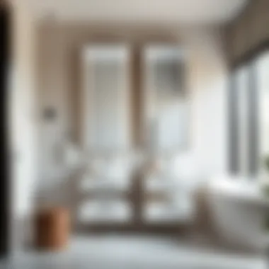 Elegant narrow mirrored bathroom cabinet design