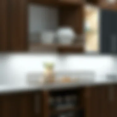 Contemporary sliding cabinet basket showcasing elegant design