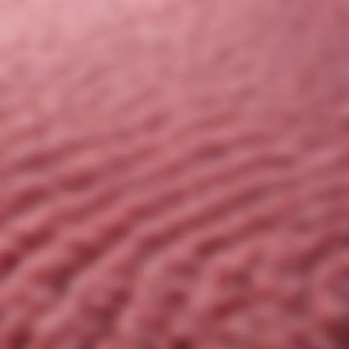 Close-up of the texture and material of a pink rug