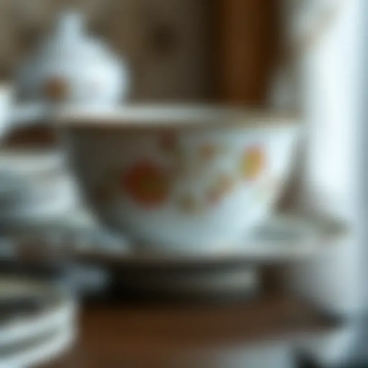 Traditional porcelain soup bowl