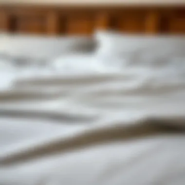 Close-up of Intricate Striped Pattern Close-up of the intricate striped pattern on a luxurious bedspread