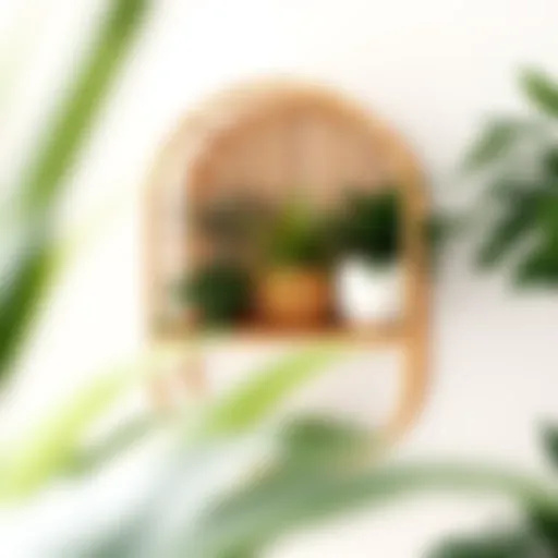 Elegant Rattan Plant Shelf Elegant rattan plant shelf displaying assorted greenery