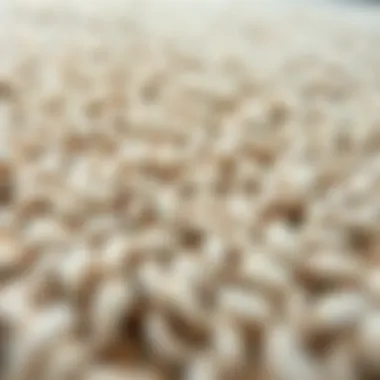 Close-up of the texture of a tan grey area rug