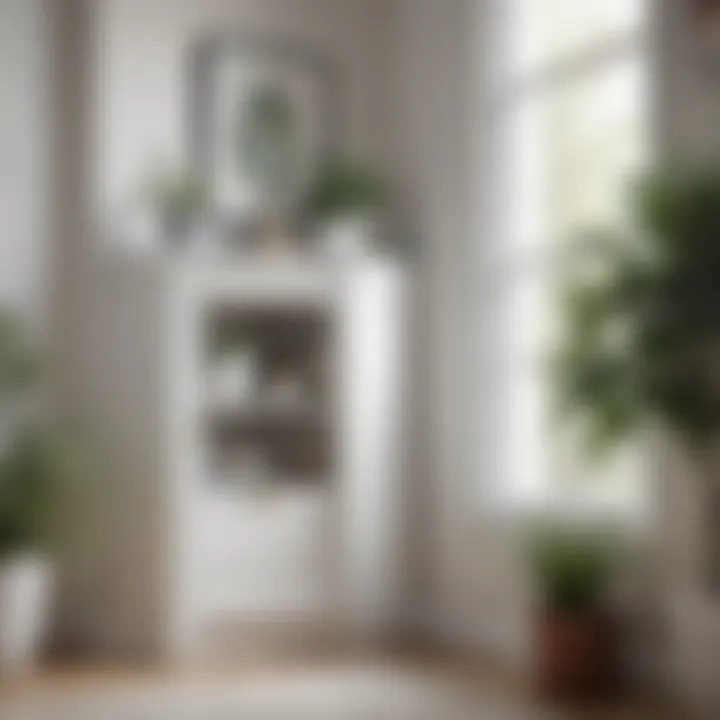 Stylish white corner cabinet with decorative items and plants
