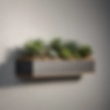 Stylish arrangement of faux succulents on a modern wall shelf