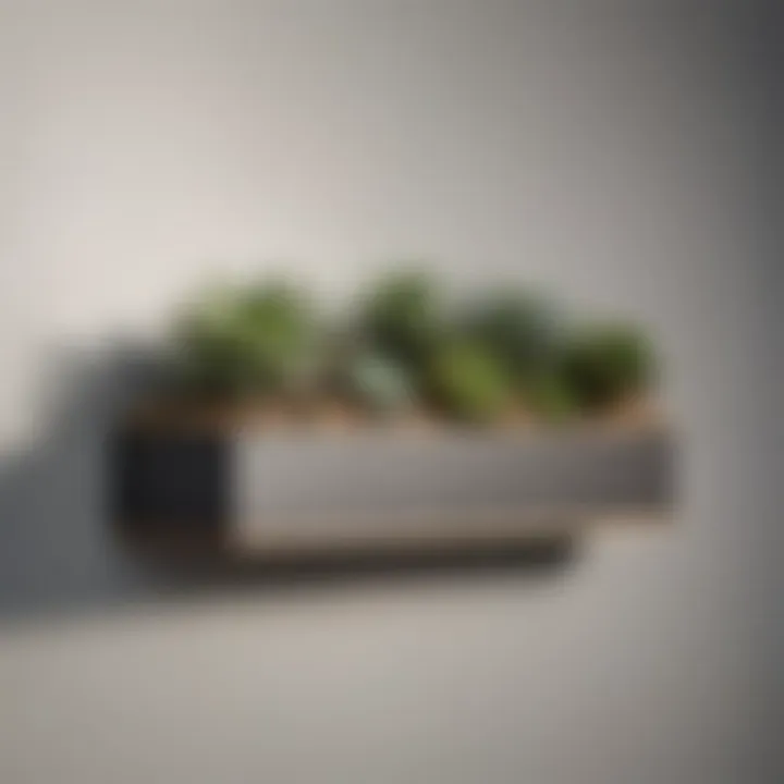 Stylish arrangement of faux succulents on a modern wall shelf