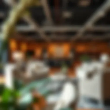 Contemporary Zinus furniture collection display