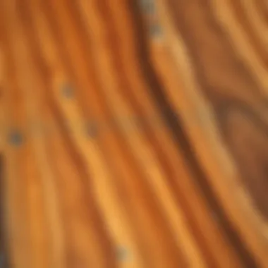 Detailed View of Acacia Wood Grain Close-up of the texture and grain of acacia wood after treatment