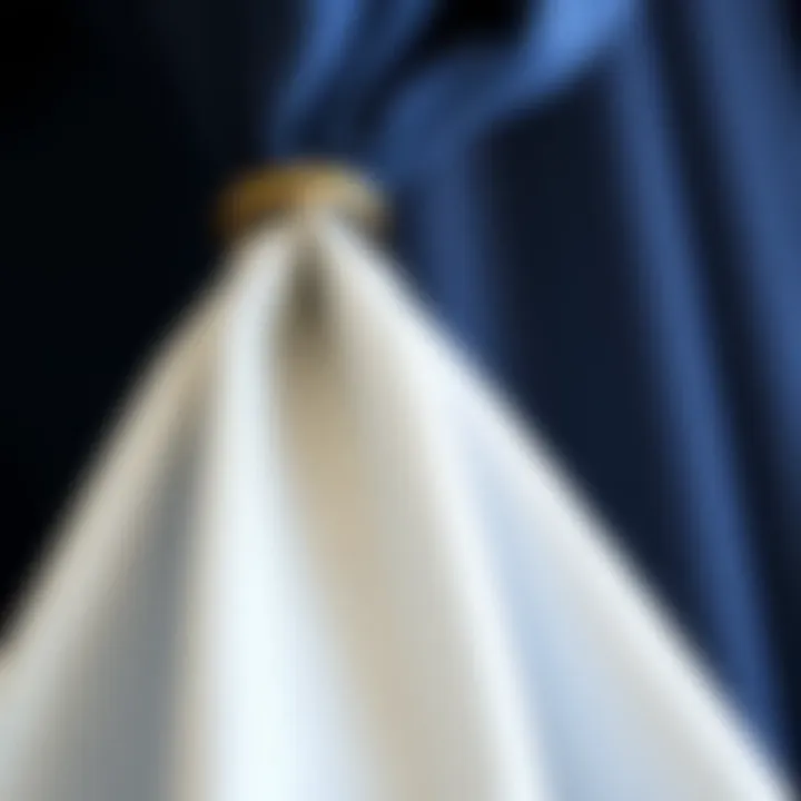 Fabric Texture and Detail Close-up of textured navy blue and white curtain fabric showcasing quality and detail