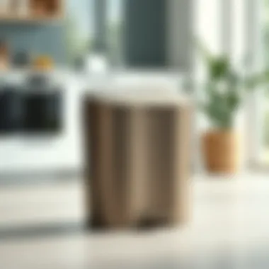 Sleek dual trash can with separated compartments