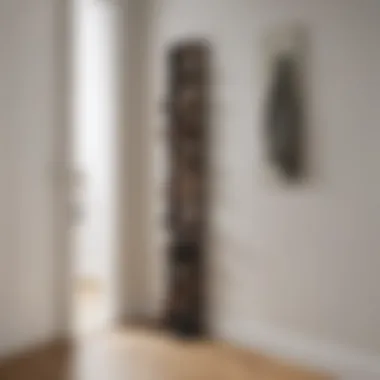 Chic tall shoe holder in a contemporary hallway