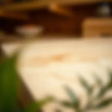 Sustainable Plywood Sourcing A close-up view of eco-friendly plywood sourced from sustainable materials.