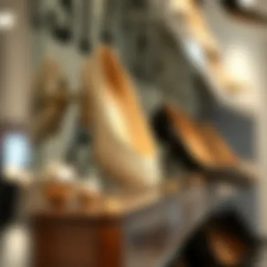 Materials That Define Quality in Mirrored Shoe Racks Close-up of materials used in a mirrored shoe rack