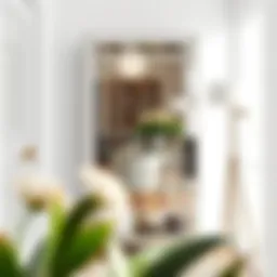 Elegant mirrored shoe rack with modern design