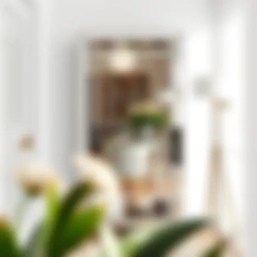 Chic Mirrored Shoe Rack in Contemporary Setting Elegant mirrored shoe rack with modern design